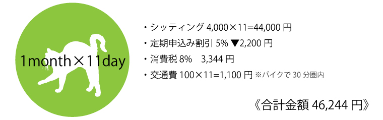 猫1m_11d