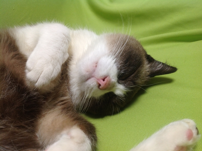 写真 29-09-2013 16 09 48